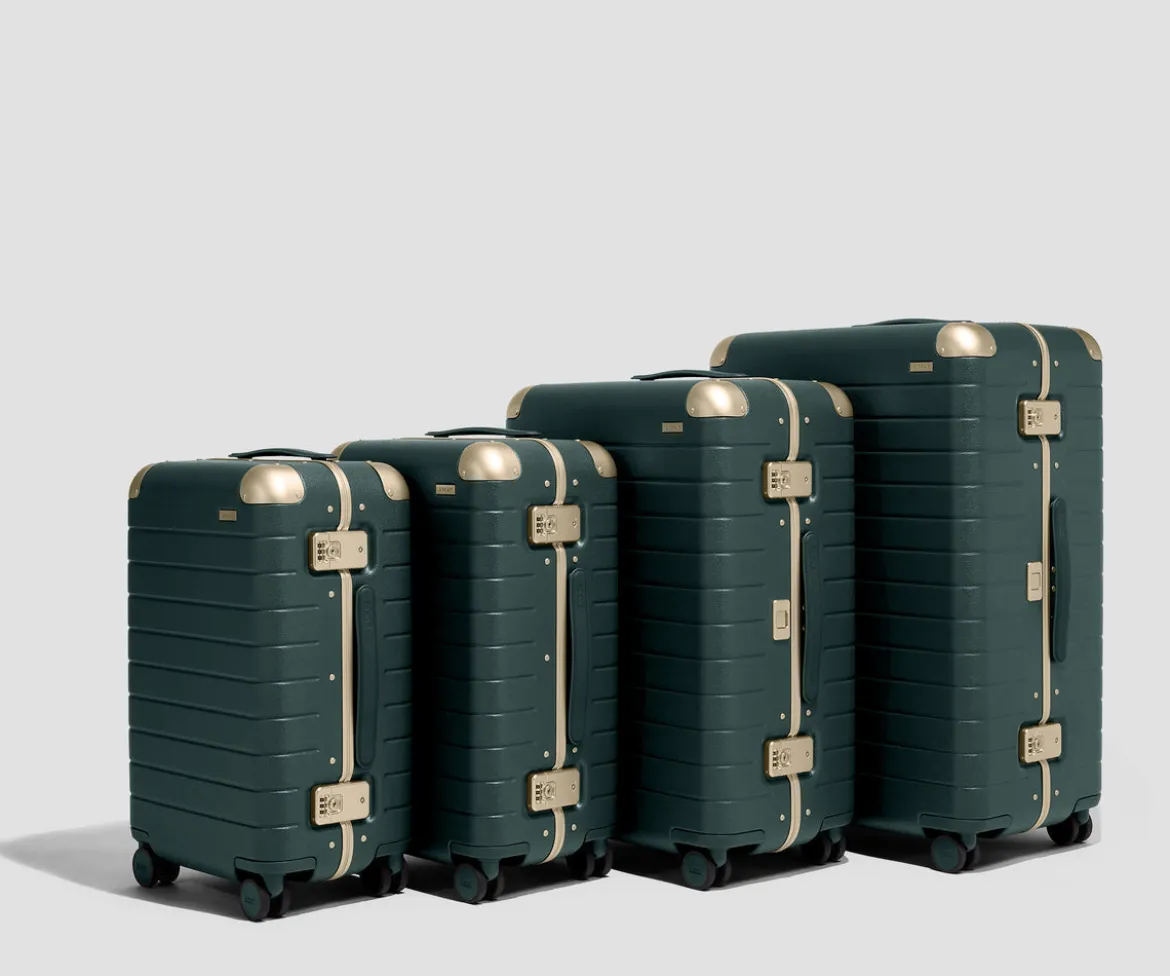 The Aluminum Edge Large in Ivy Green