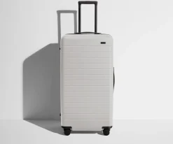 The Trunk in Cloud Gray